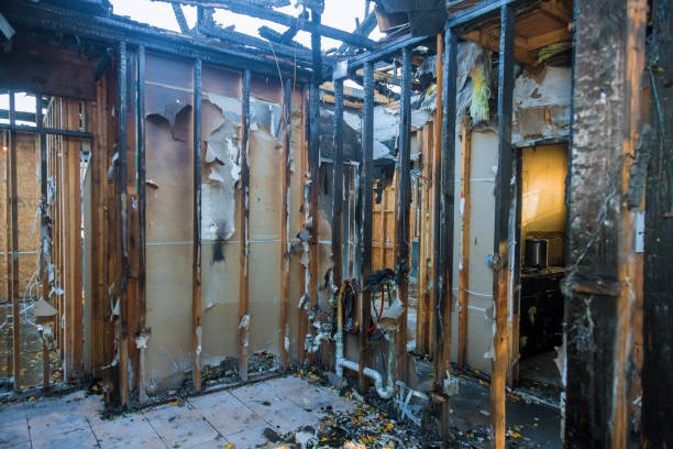 Professional Fire Damage Cleanup technician working in Upper Black Eddy, PA