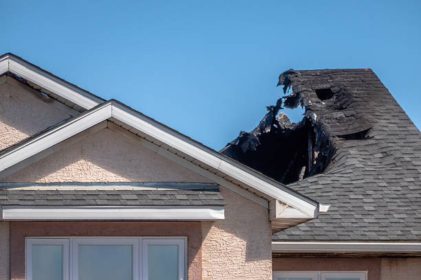 Top rated local Fire Damage Cleanup specialists in Upper Black Eddy, PA